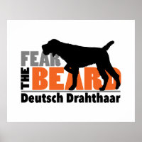 Medo da barba - Deutsch Drahthaar