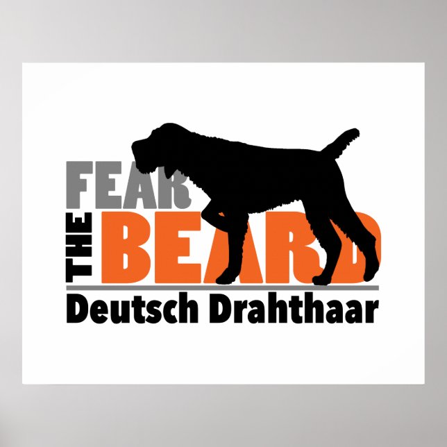 Poster Medo da barba - Deutsch Drahthaar (Frente)