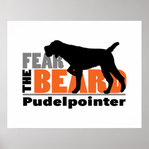 Póster Medo da placa - Pudelpointer