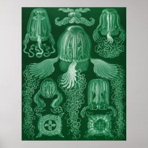 Póster Medusa da caixa