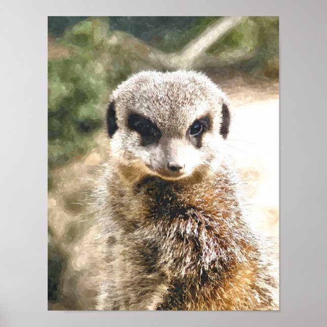 PÓSTER MEERKAT (Frente)