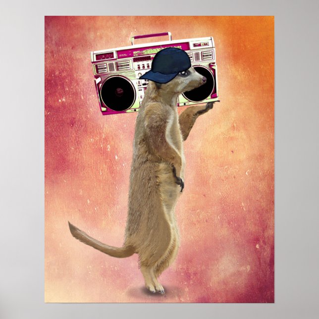 Poster Meerkat e Boom Box (Frente)