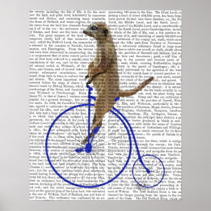Poster Meerkat Em Azul Penny Farthing