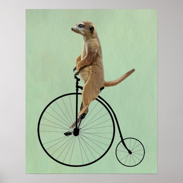 Póster Meerkat em Black Penny Farthing (Frente)