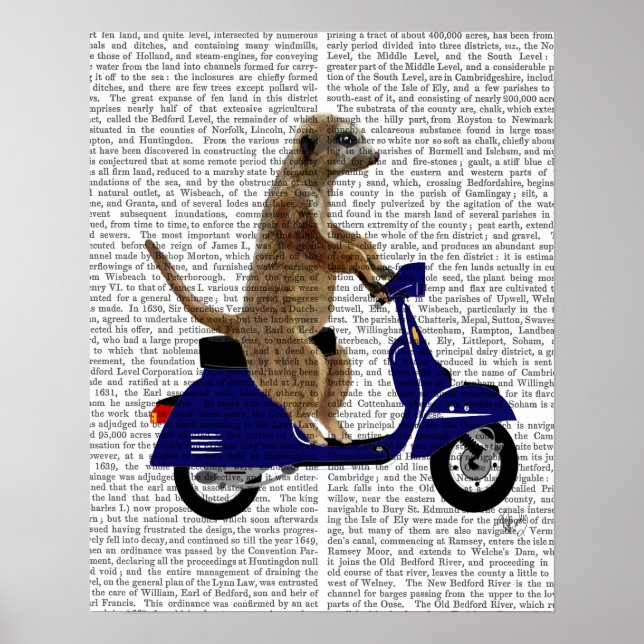 Poster Meerkat em Blue Moped Escuro (Frente)
