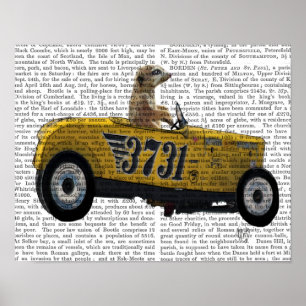 Póster Meerkat em Hot Rod