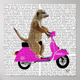 Poster Meerkat em Moped Rosa