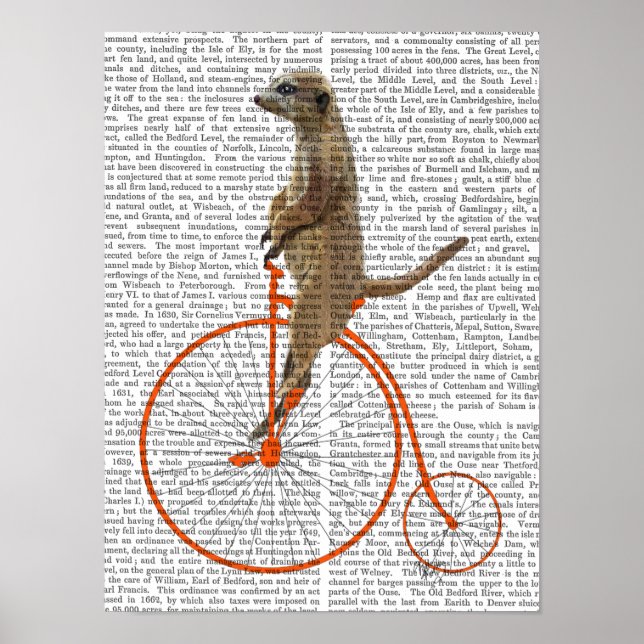 Póster Meerkat em Orange Penny Farthing (Frente)