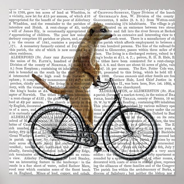 Póster Meerkat na Bicicleta (Frente)