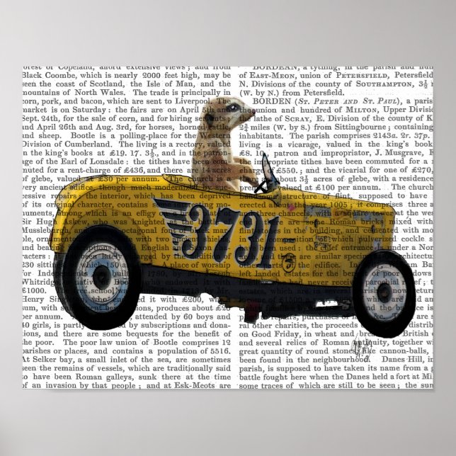 Póster Meerkat no Hot Rod (Frente)