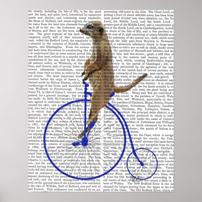 Poster Meerkat Sobre A Farinha Da Penny Azul (Frente)