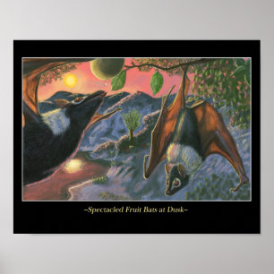 Póster Megabat Spectacled no crepúsculo