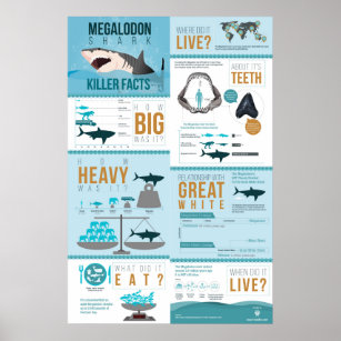 Poster Megalodon Shark - Fatos Assassino! 24 x 36"