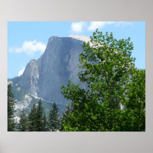 Póster Meia centelha no verão do Parque Nacional de Yose