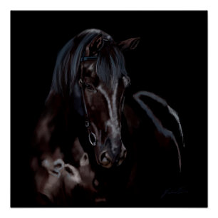 Póster Meia-noite de Blackas do cavalo