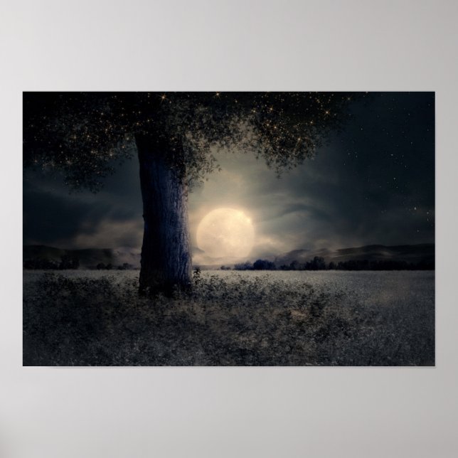 Poster Meia-noite debaixo da árvore (Frente)