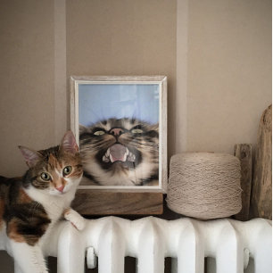 Poster Meia Plainosa De Uma Pintura Em Acrílico De Gato D