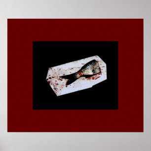 Poster Meio Peixe