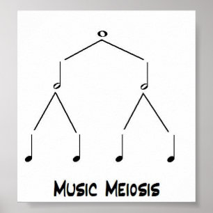 Poster Meiose da música
