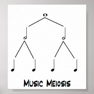 Poster Meiose Musical