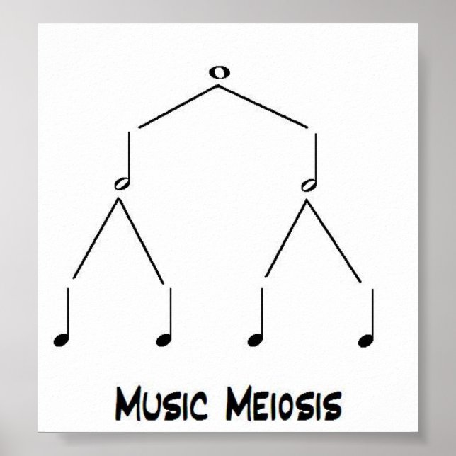 Poster Meiose Musical (Frente)