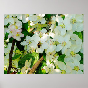 Póster Mel do fazer