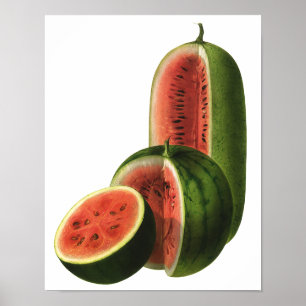 Póster Melancias Vintage Altas Redondas, Fruta Alimentíci