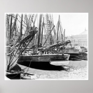 Póster Melbourne, 1903:  A Alma Doepel