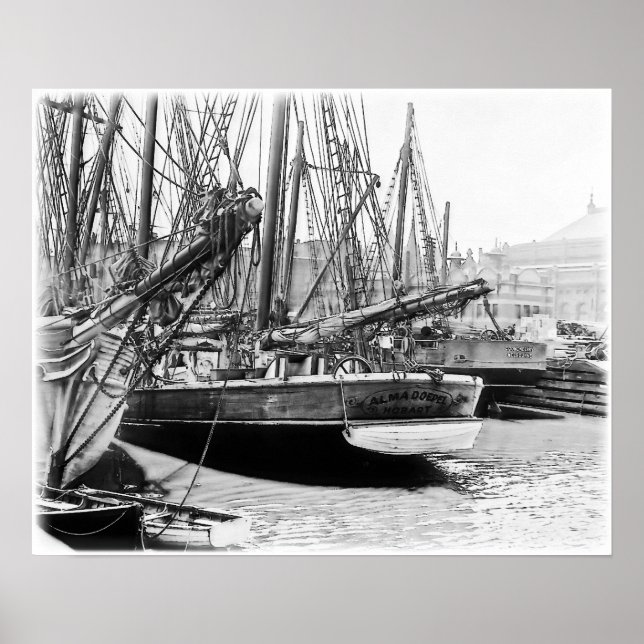 Póster Melbourne, 1903: Alma Doepel (Frente)