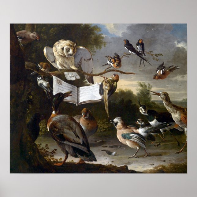 Poster Melchior d'Hondecoeter O concerto de Aves (Frente)
