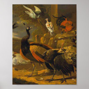 Poster Melchior d'Hondecoeter - Pássaros num Parque