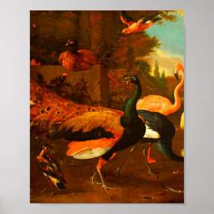 Poster Melchior d'Hondecoeter - Pássaros num Parque