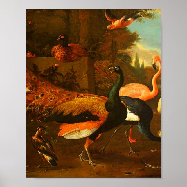 Poster Melchior d'Hondecoeter - Pássaros num Parque (Frente)