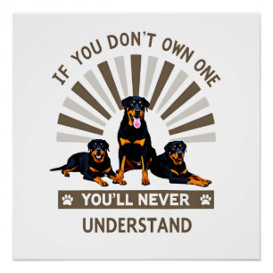 Póster Melhor Arte de Rottweiler Para Homens Mulheres Cri