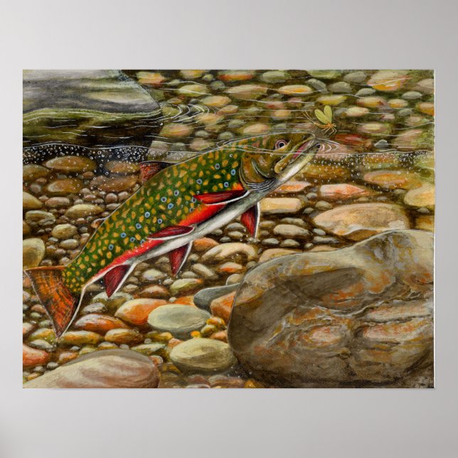 Póster Melhor do Show 2004 (Frente)