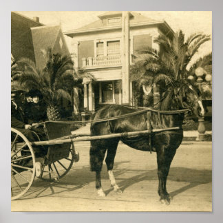 Póster Melhor Domingo