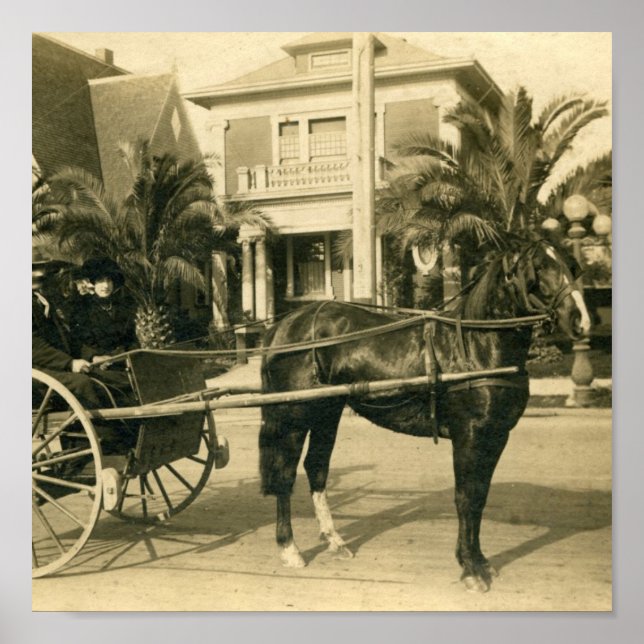 Póster Melhor Domingo (Frente)