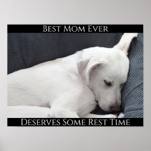 Poster Melhor Mãe de Todos os Tempos Merece um Tempo de D