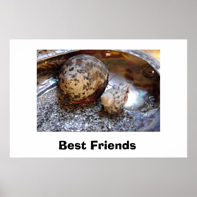 Póster Melhores Amigos (Frente)