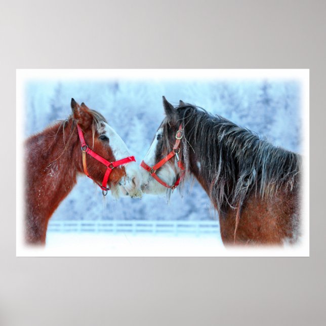 Póster Melhores Amigos (Frente)