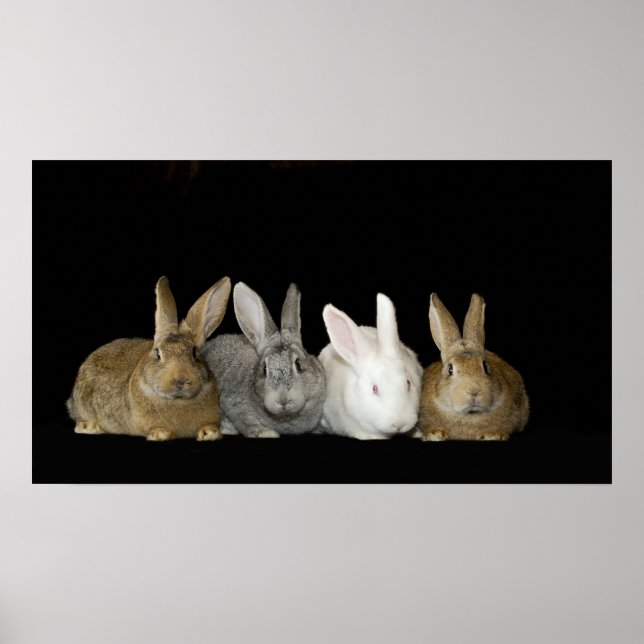 Póster Melhores Amigos (Frente)