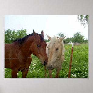 Poster Melhores amigos de BFF para sempre