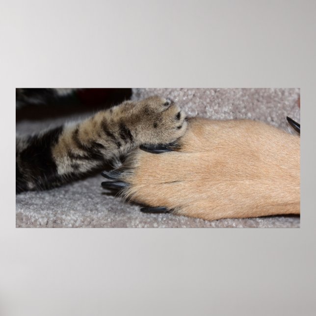 Póster Melhores Amigos para sempre por Shirley Taylor (Frente)