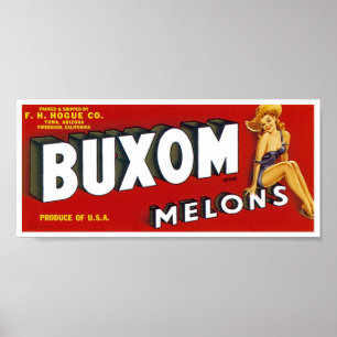 Póster Mellons fresco