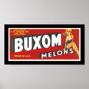 Póster Melões frescos