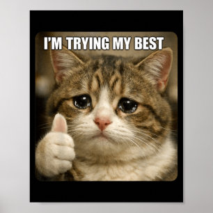 Poster Meme de Gato Chorando Engraçado para Homens Mulher
