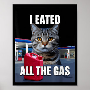 Poster Meme de Gato Engraçado Eu Comi Queria Todo O Gás E