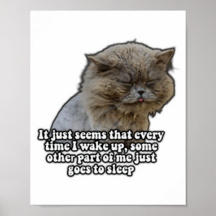 Poster Meme de gato engraçado para amantes de gatos e don
