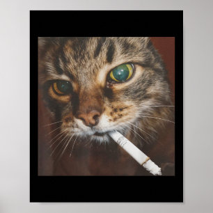 Poster Meme de Gato Fumante Engraçado