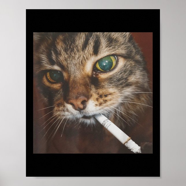 Poster Meme de Gato Fumante Engraçado (Frente)